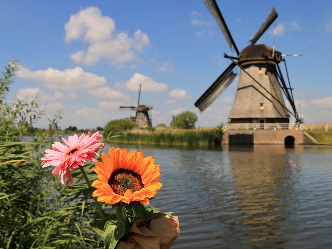 dutch cultural heritage