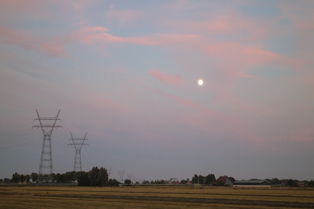 dutch polder landscape