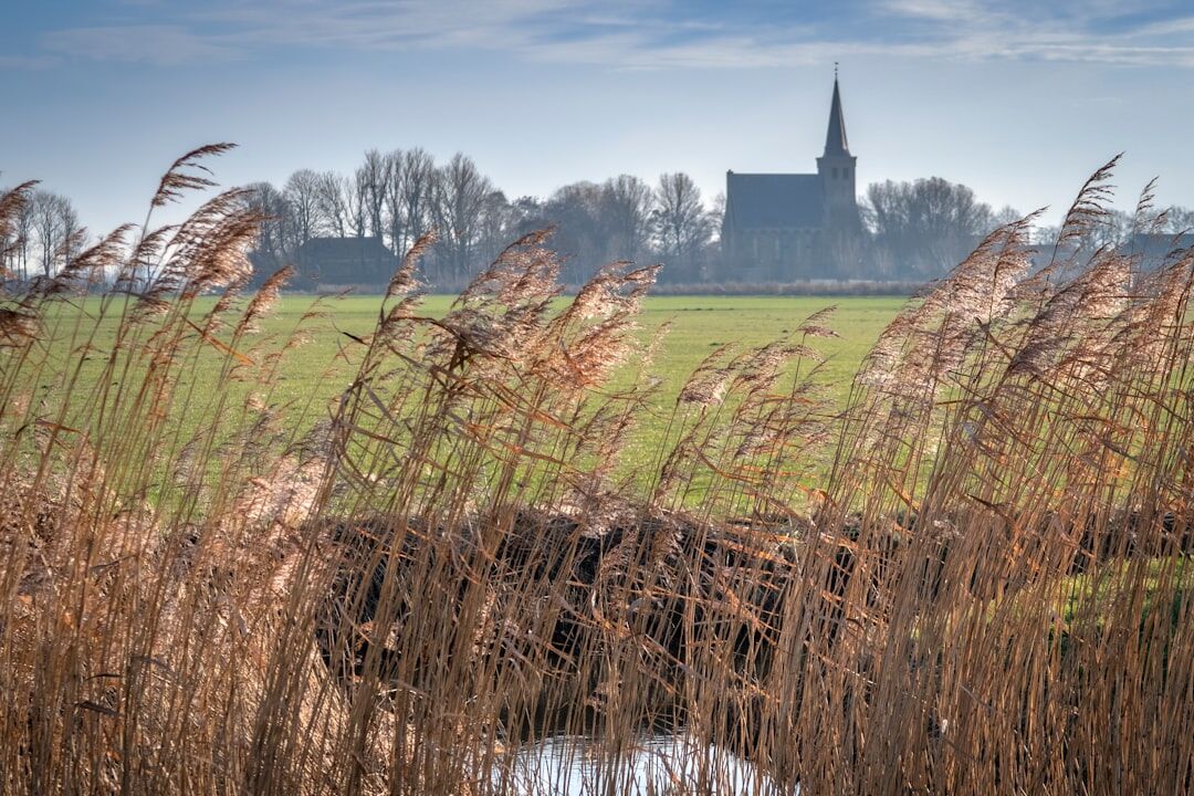 dutch polder landscape